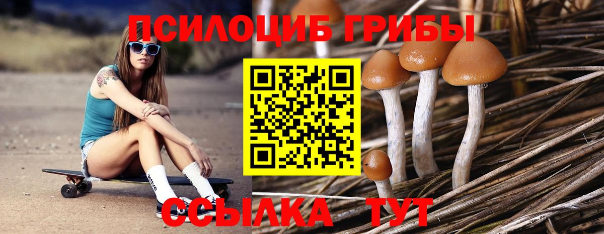 Снежинск  Галлюциногенные грибы MAGIC MUSHROOMS  Вход с VPN  Галлюциногенные грибы Psilocybe 